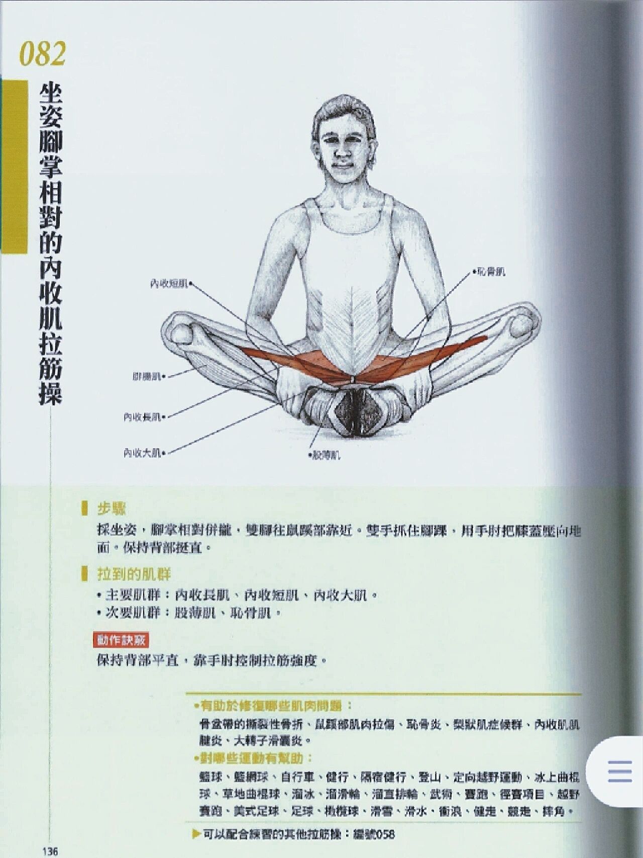 注o型腿与有臀肌挛缩的小伙伴 不建议拉伸大腿内侧