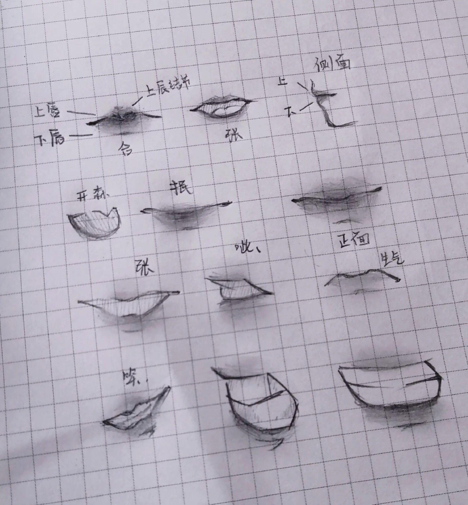 嘴巴的绘制(教程