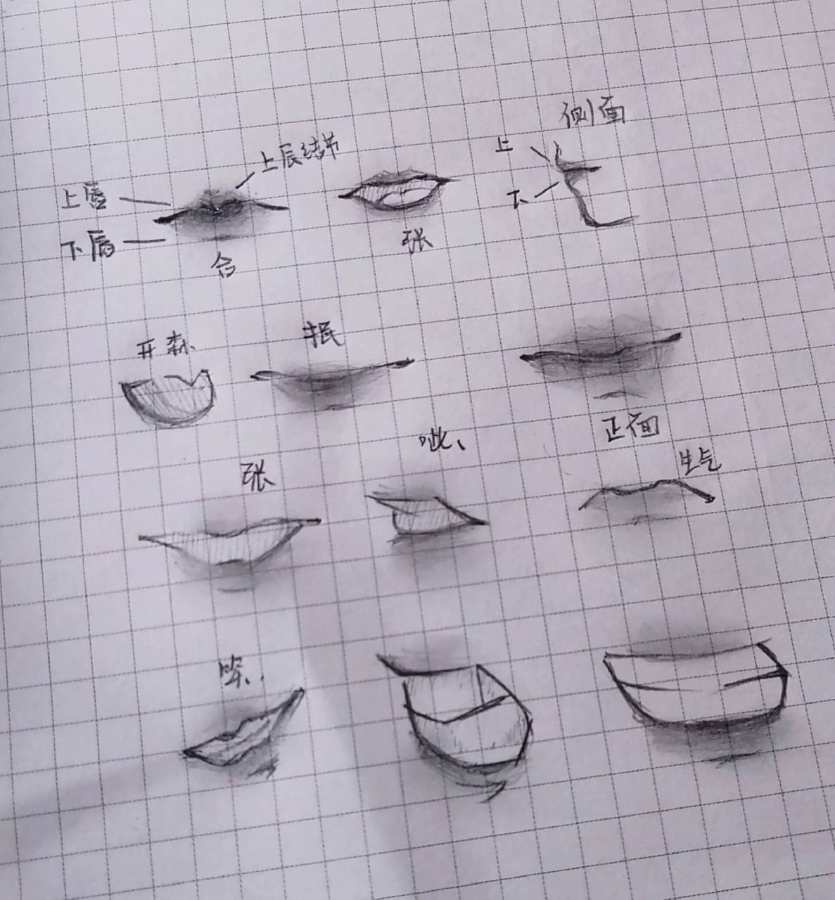 嘴巴的绘制(教程) 在漫画时,我们一般会把嘴部忽略掉,这样做其实是不