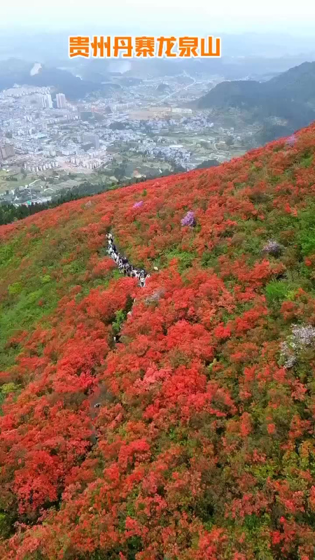 丹寨龙泉山风景区门票图片