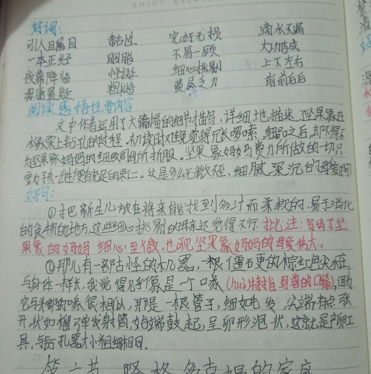 《昆虫记》读书笔记 坚果象的手钻 字丑勿喷 ,有个别错字望谅解