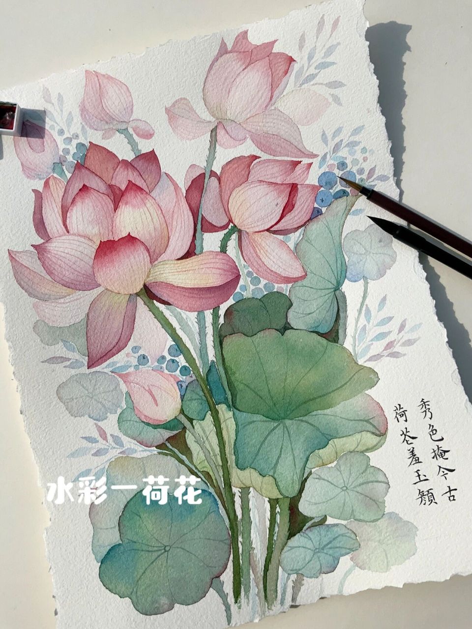 水彩荷花 花卉系列(十一) 终于等到今天出太阳了,今天还有小姐姐给题