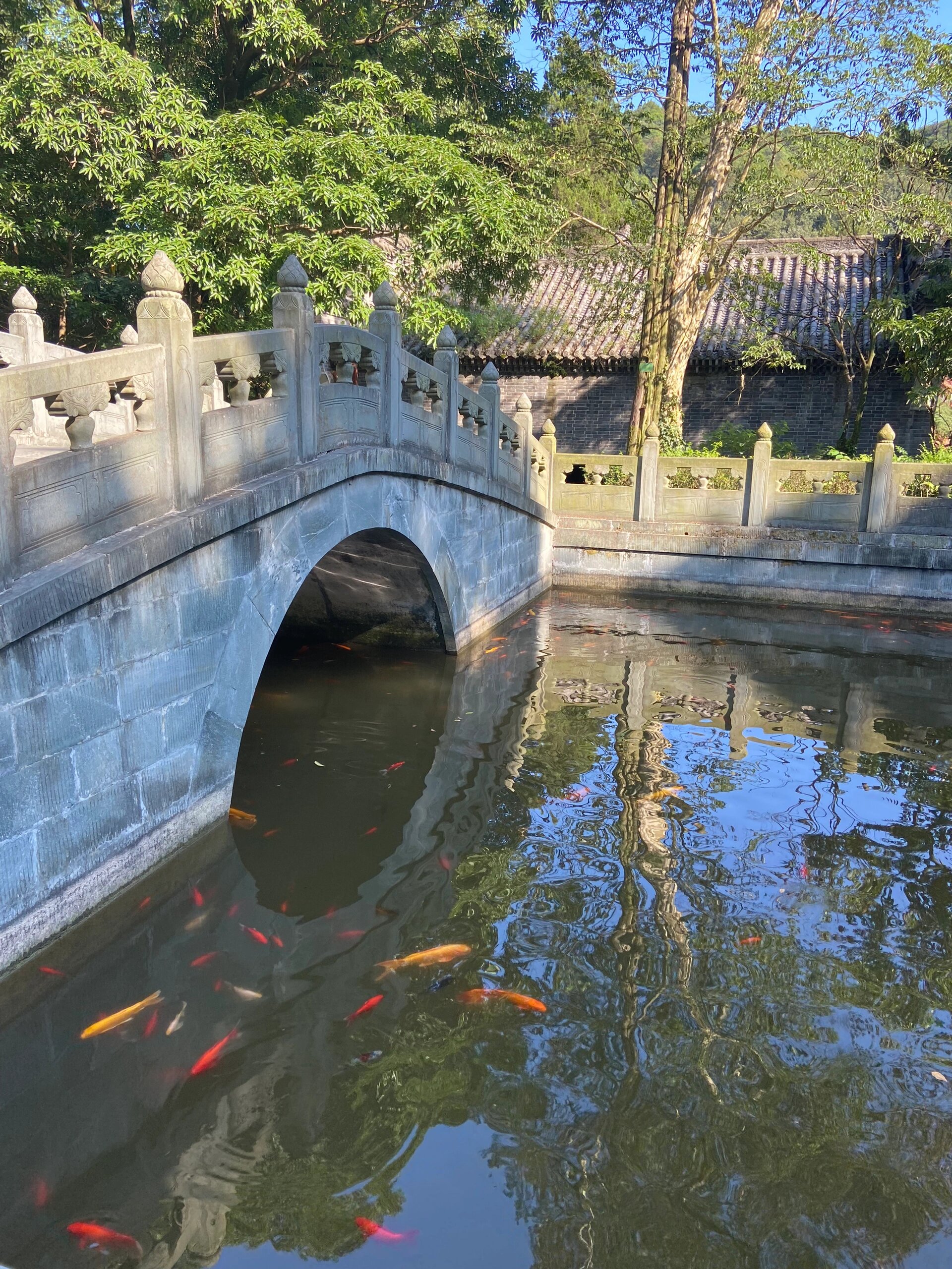 承恩寺门票图片