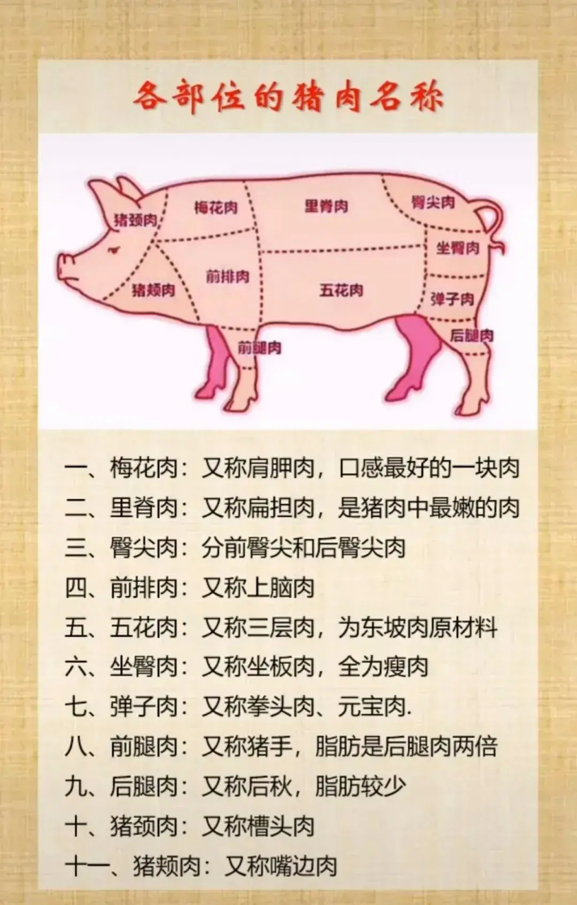 猪肉各部位的名称,猪也太可怜了.