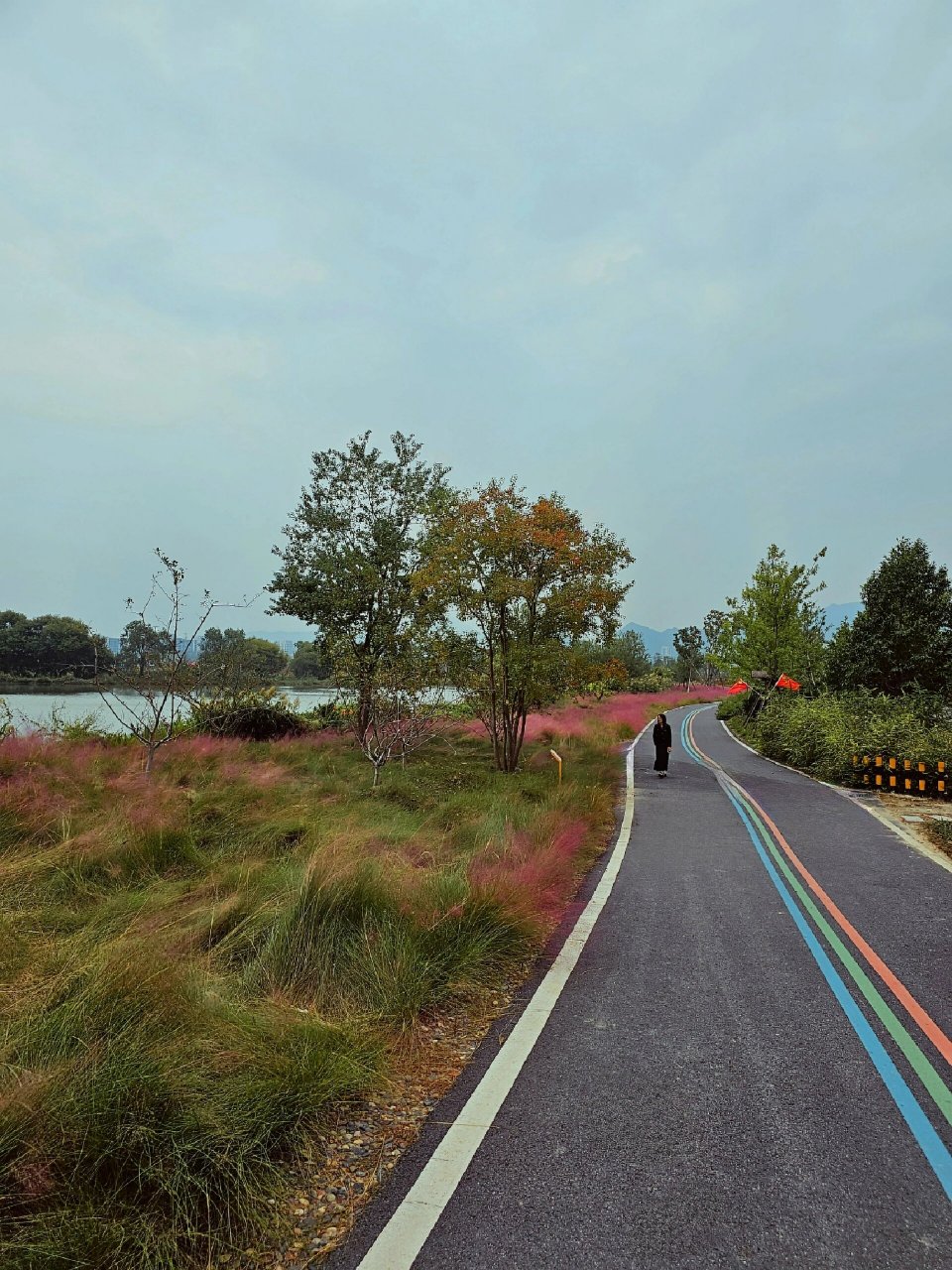 一个转身,夏天便成了故事|阳陂湖 清凉素秋,周末在富阳的阳陂湖闲逛