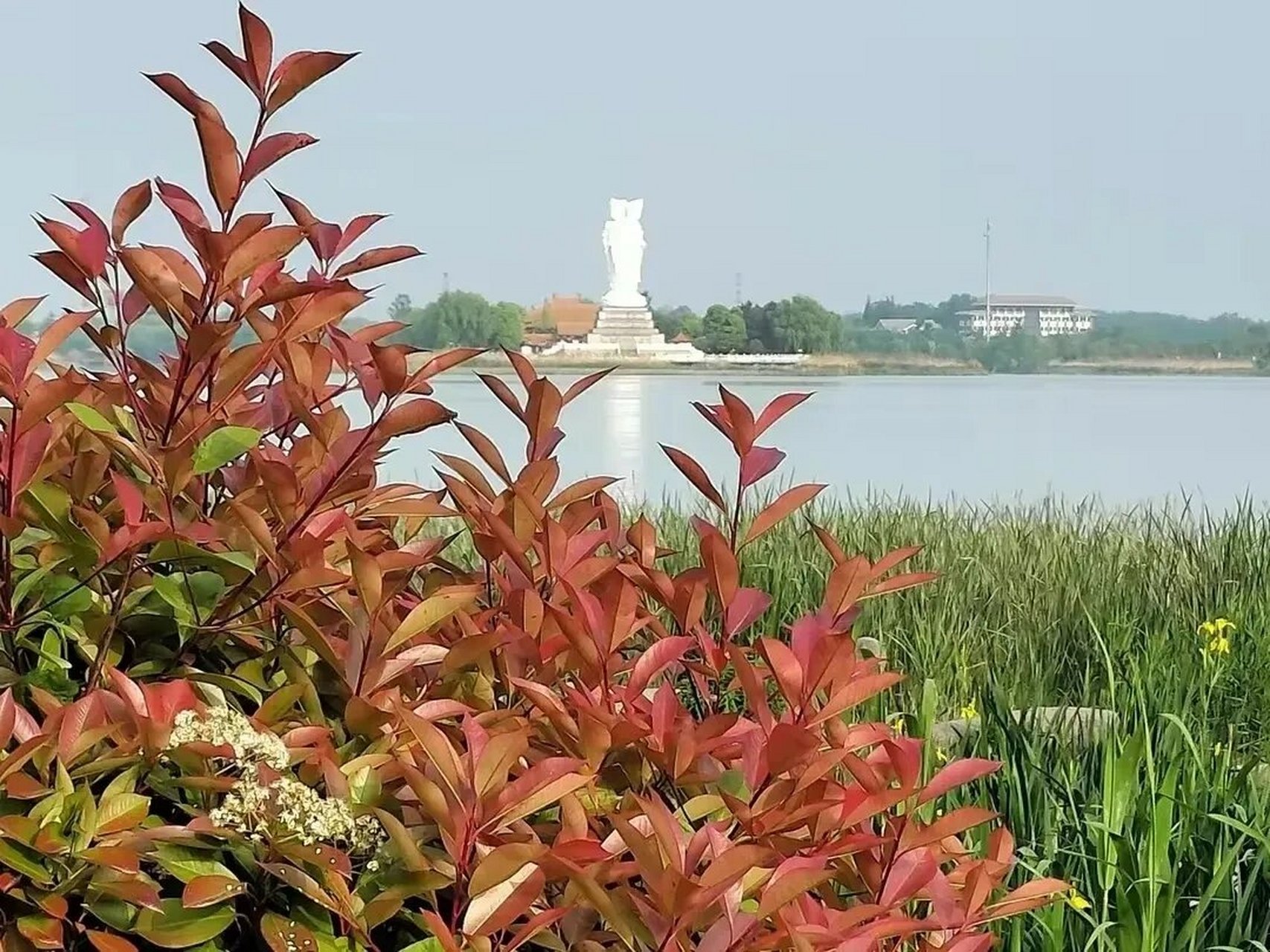 泗阳运河风光带 秋色美景看过来 泗阳运河风光带,是千里运河最具诗情