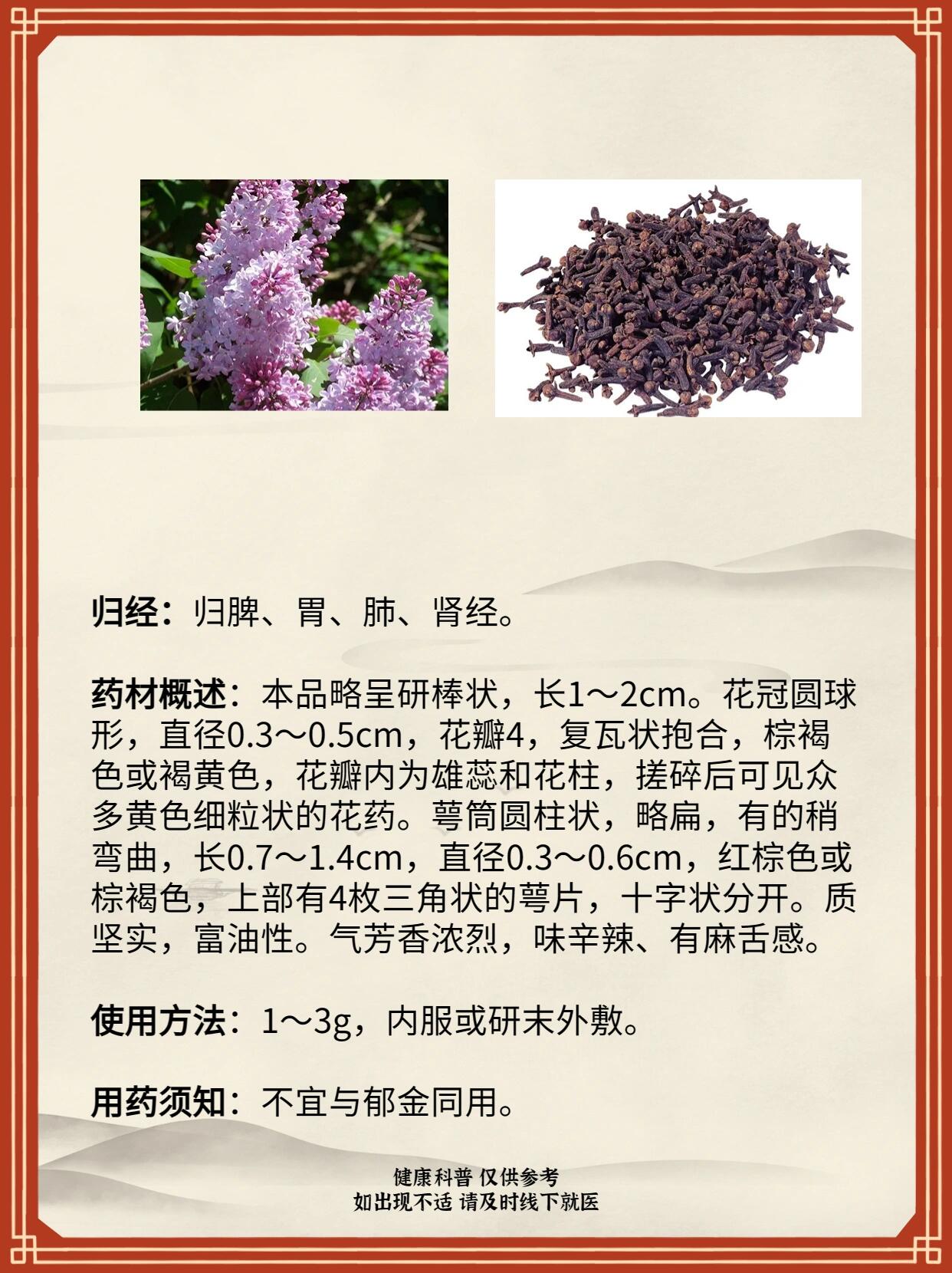 每天一味中药|丁香 中文名:丁香 别名:公丁香,丁子香 界:植物界 门