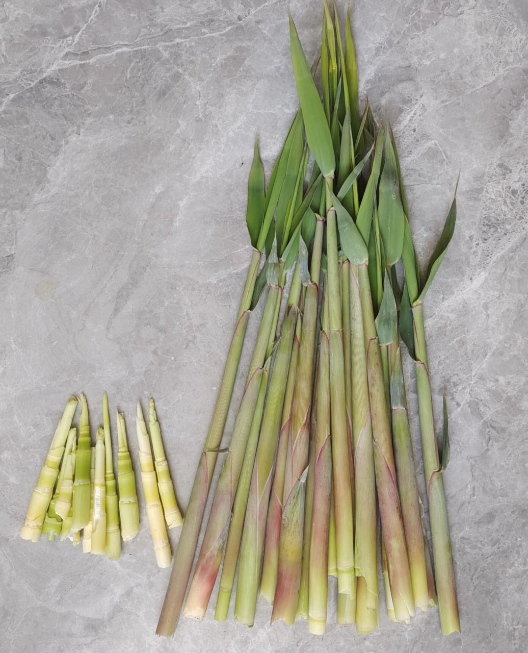 一尺多长的芦苇笋,剥出来只有短短的一截,可是很嫩,焯水后,无论炒肉