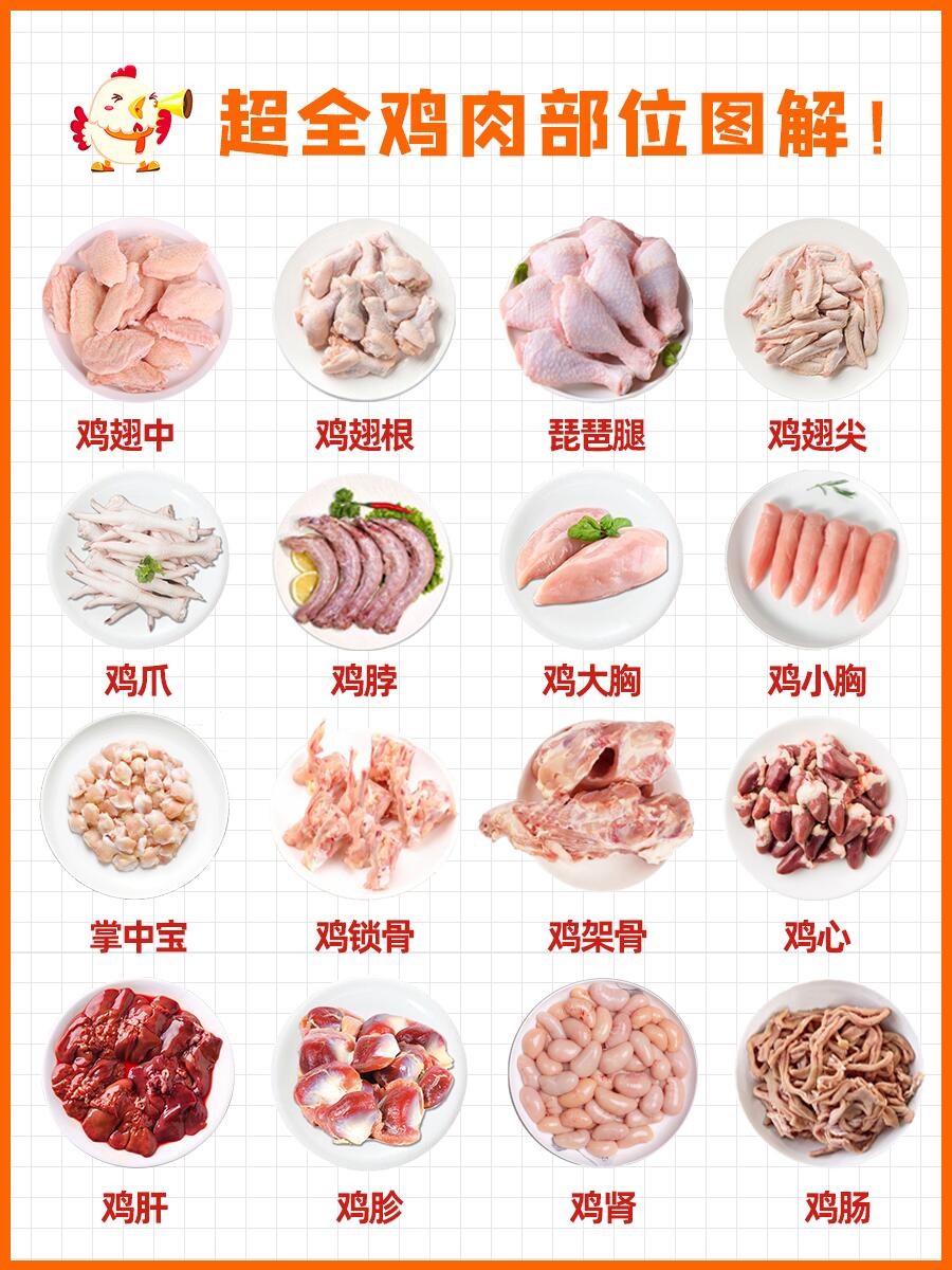 鸡的16个部位图解,超详细