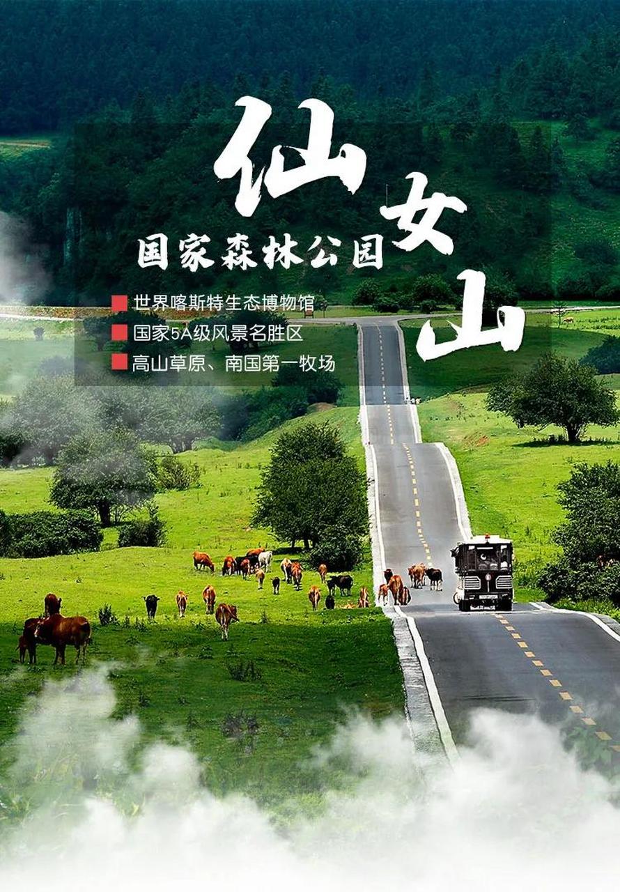 到武隆必去天生三桥,仙女山森林公园,那么在这些景区里面还有一些自费