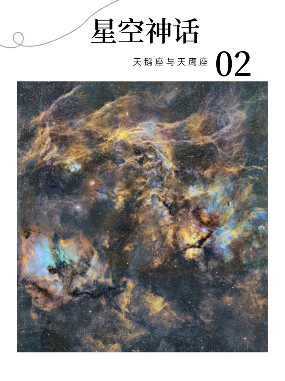 星空神话 02 | 天鹅座与天鹰座 06在希腊神话中,宙斯曾变形为一只白