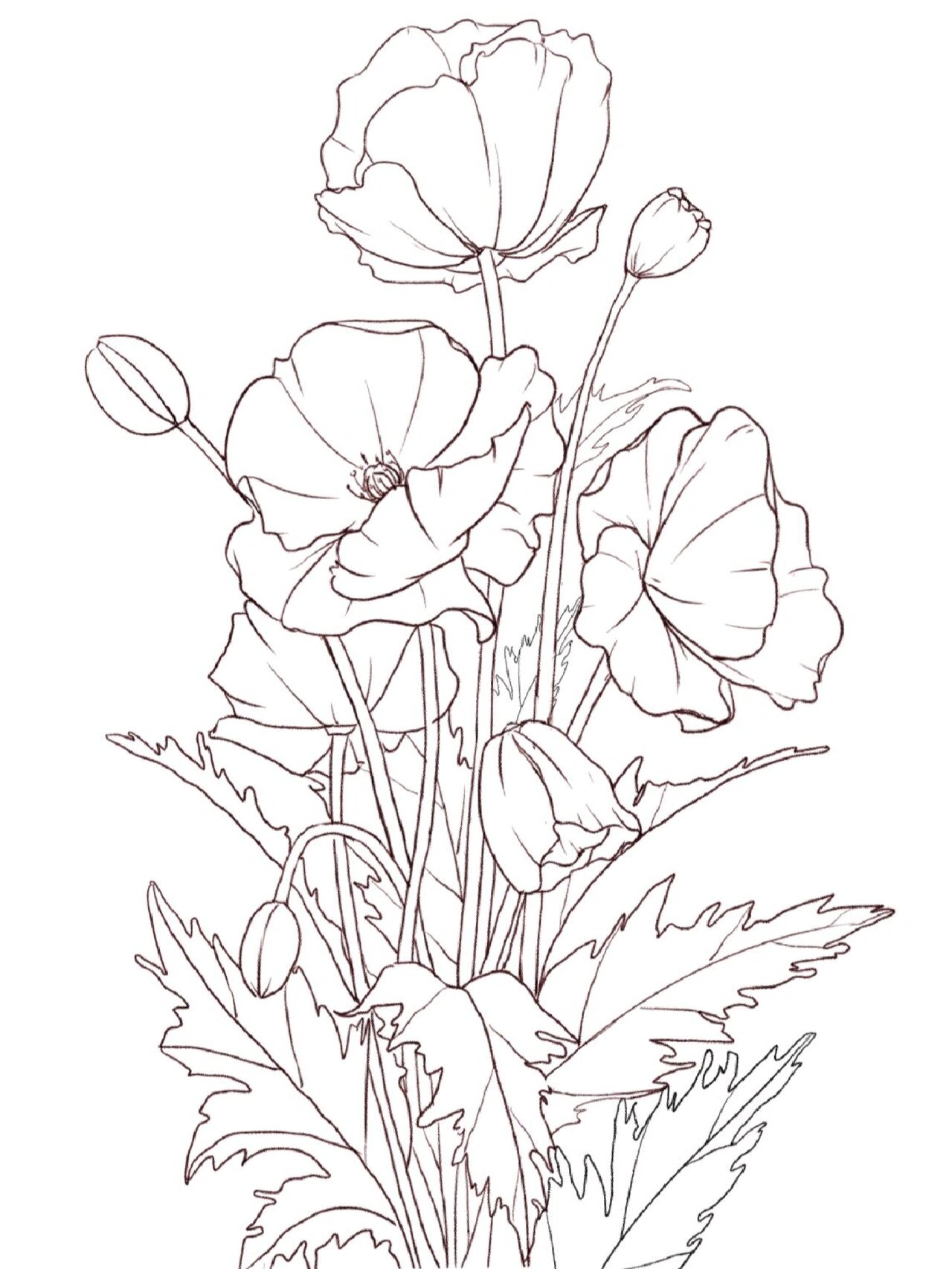 临摹请标明出处或者@我就可以了 #花卉绘画##花卉线稿#