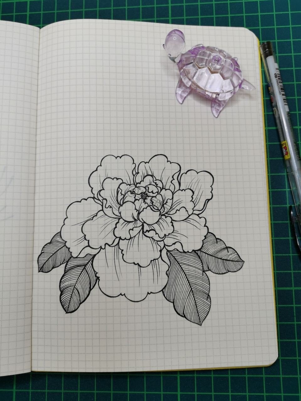 120|线描画|牡丹花 一组牡丹花的练习 	 针管笔|手绘|线描画|花卉