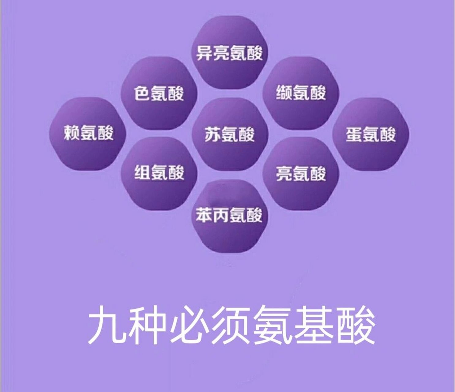 九种必须氨基酸,看完记住这个顺口溜(上) 我们一直强调蛋白质是有质量