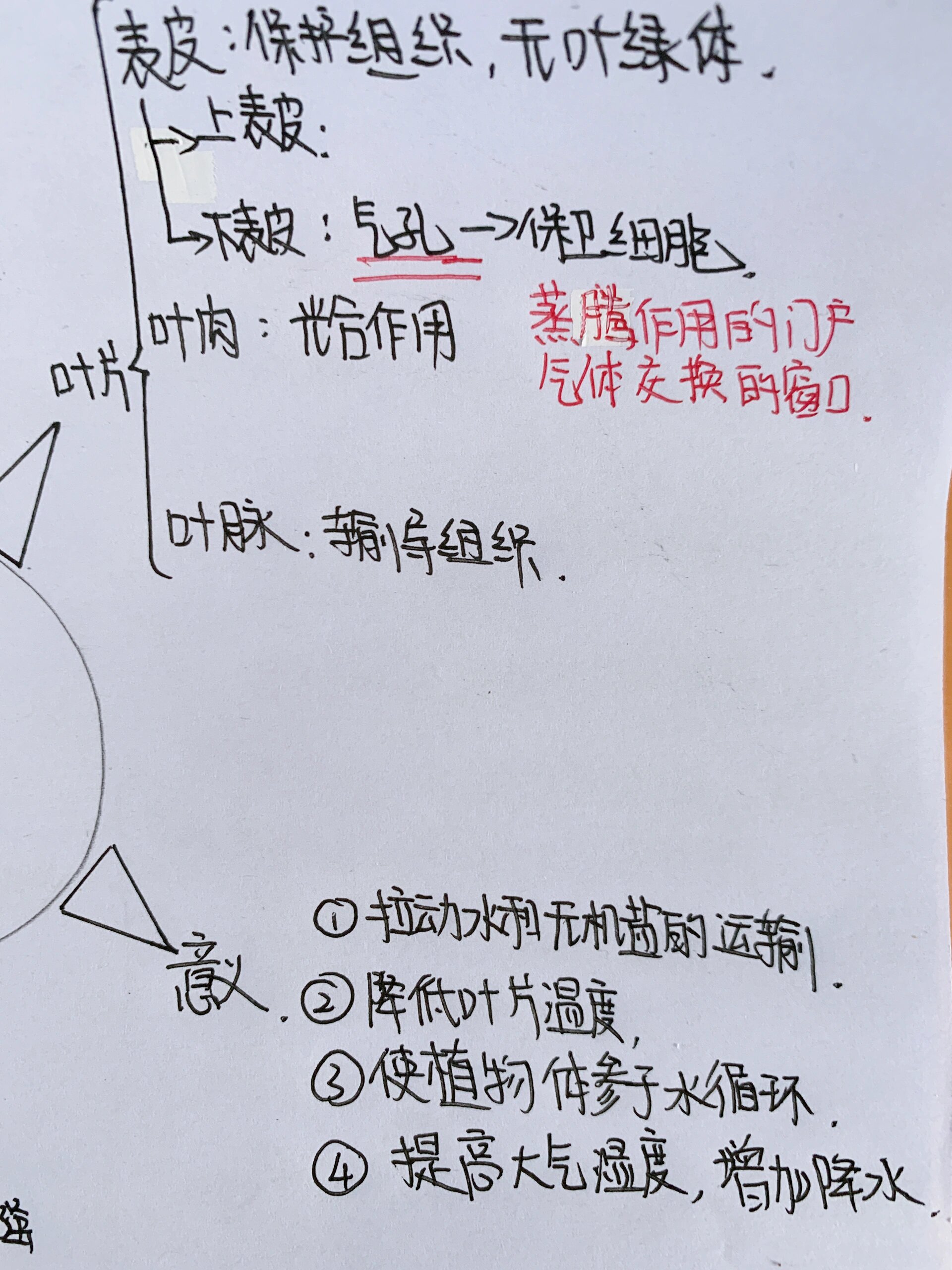 七年级上册生物第三单元蒸腾作用思维导图 喜欢的动动小手点赞加关注