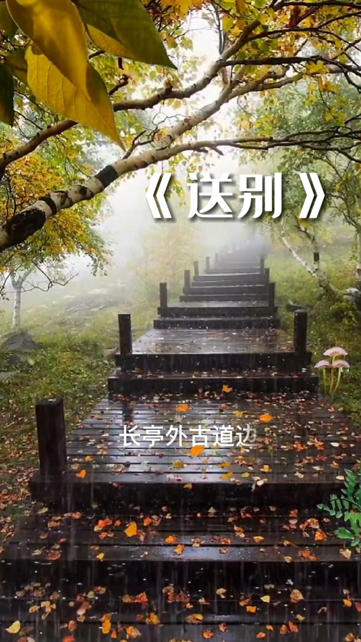 经典歌曲 送别 长亭外,古道边……人生就是在一次次送别中成长