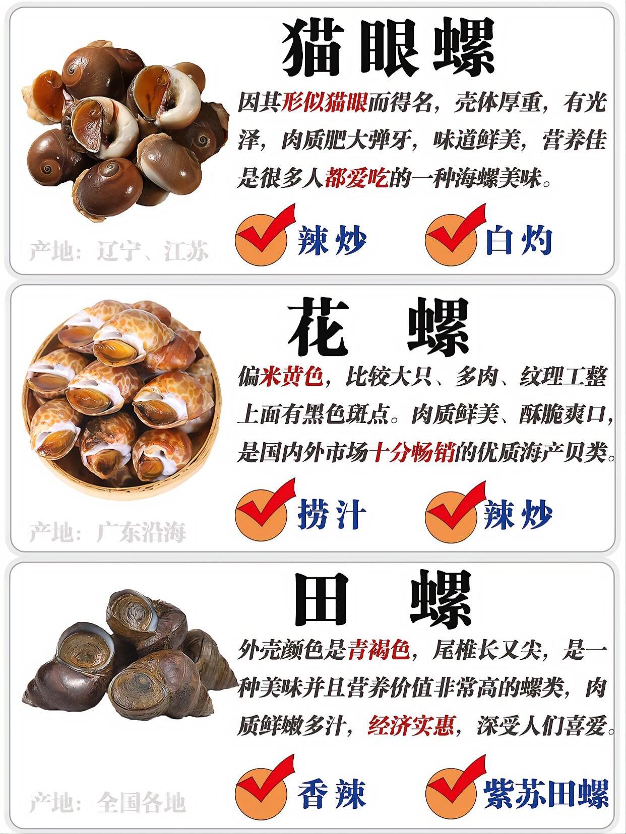 常见螺类区别|如何辨识避坑