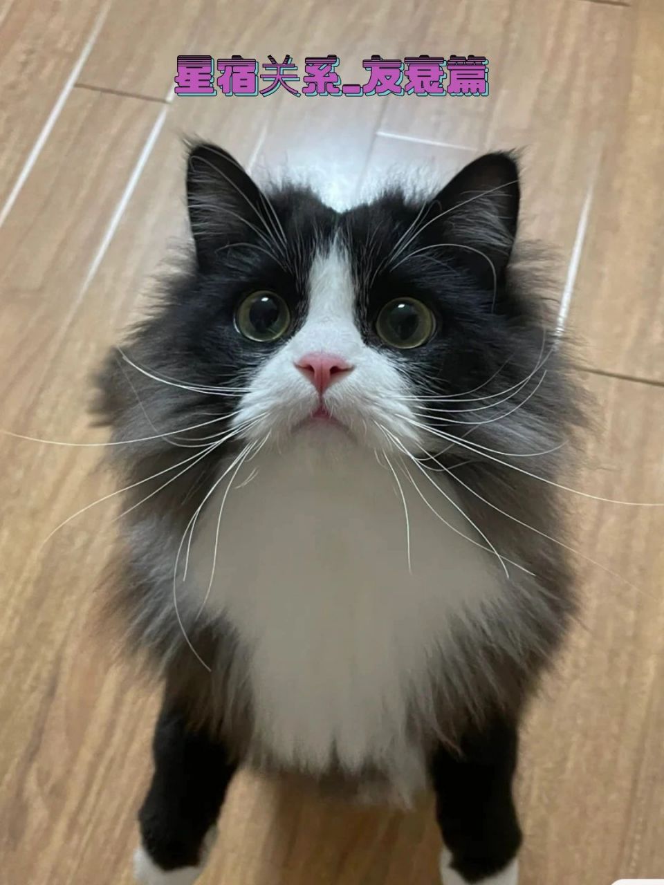 本命友衰 值日业胎 今天有位姐妹咨询星宿问题,她是本命近友衰,值日业