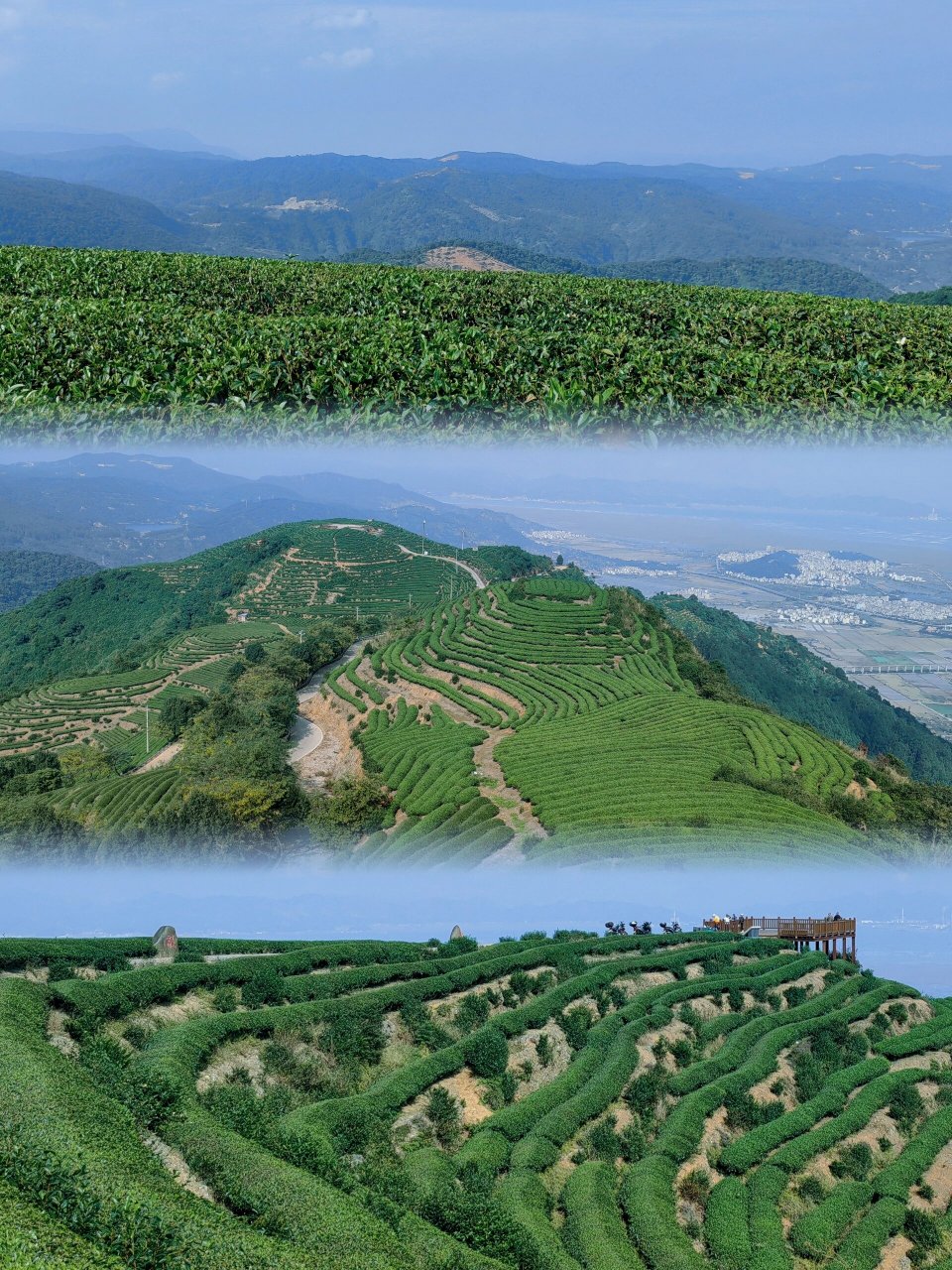 连江炉峰山|福建"最美茶山"95 登上全县最高海拔的山顶,沐浴在满眼