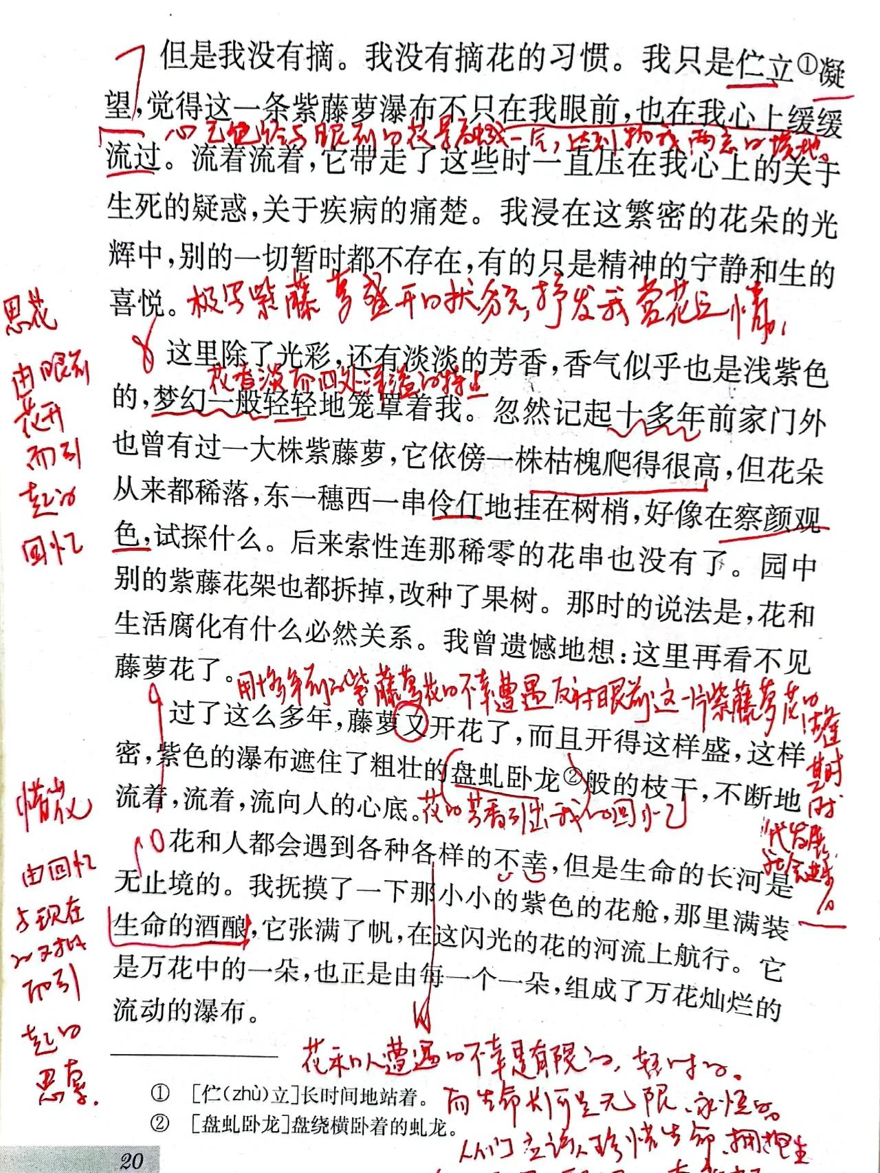 紫藤萝瀑布(宗璞)