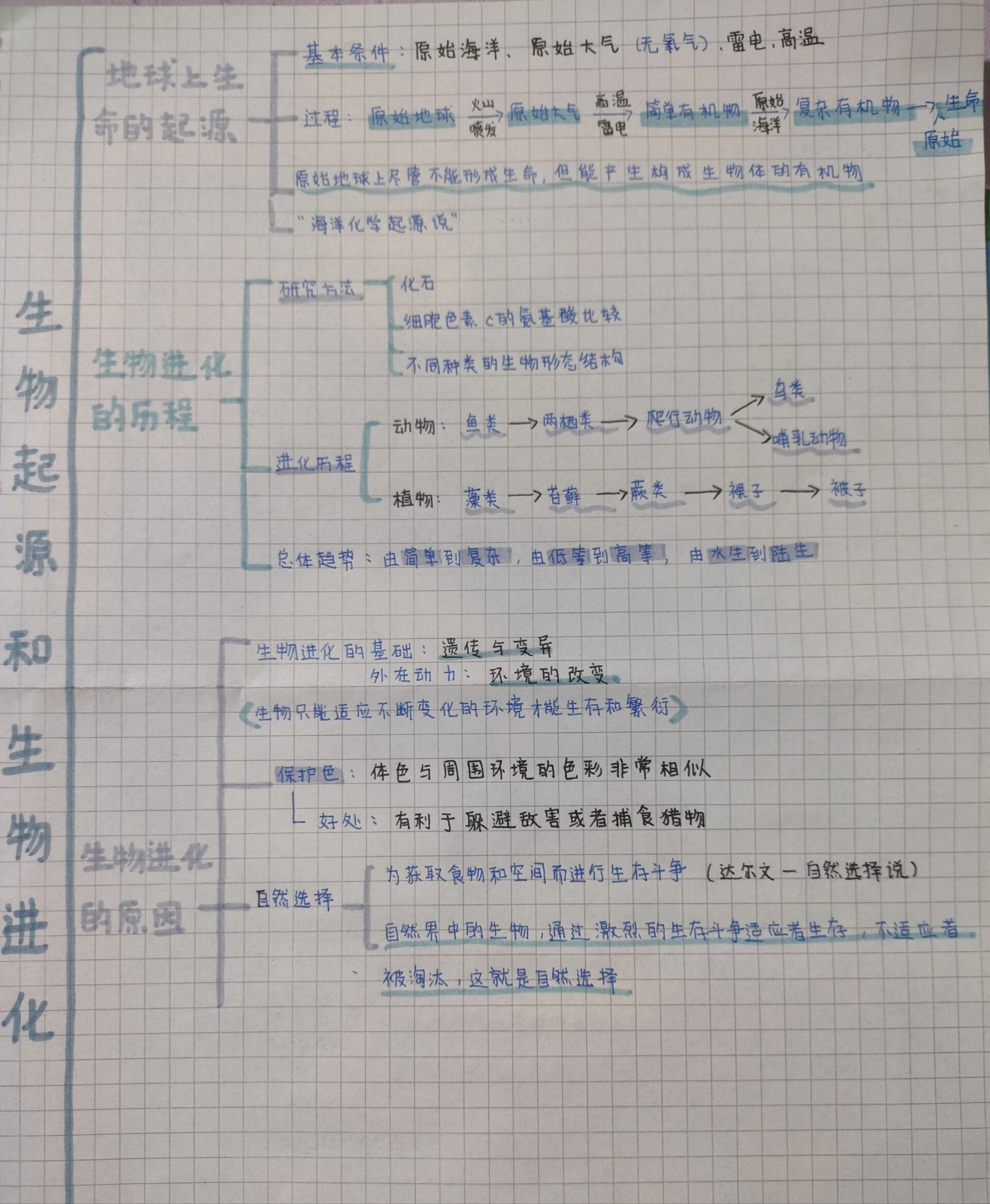 八下生物思维导图第三章