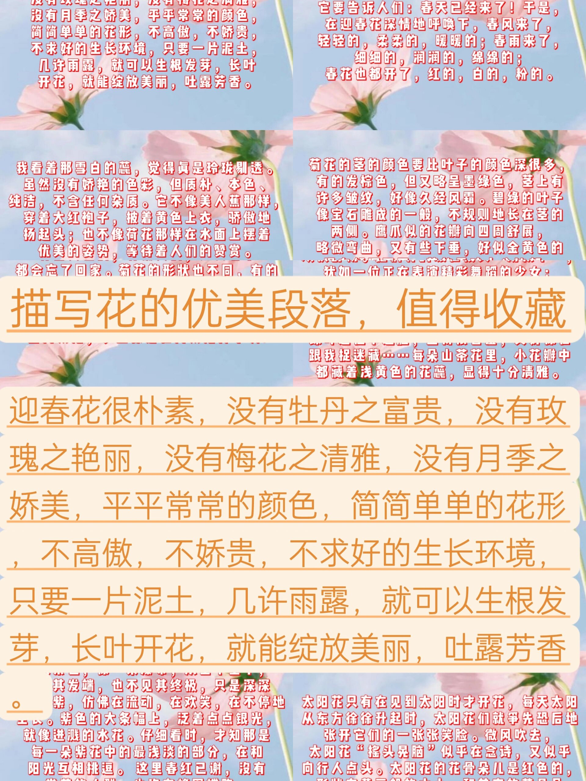 描写"花"的优美段落,为孩子收藏起来吧