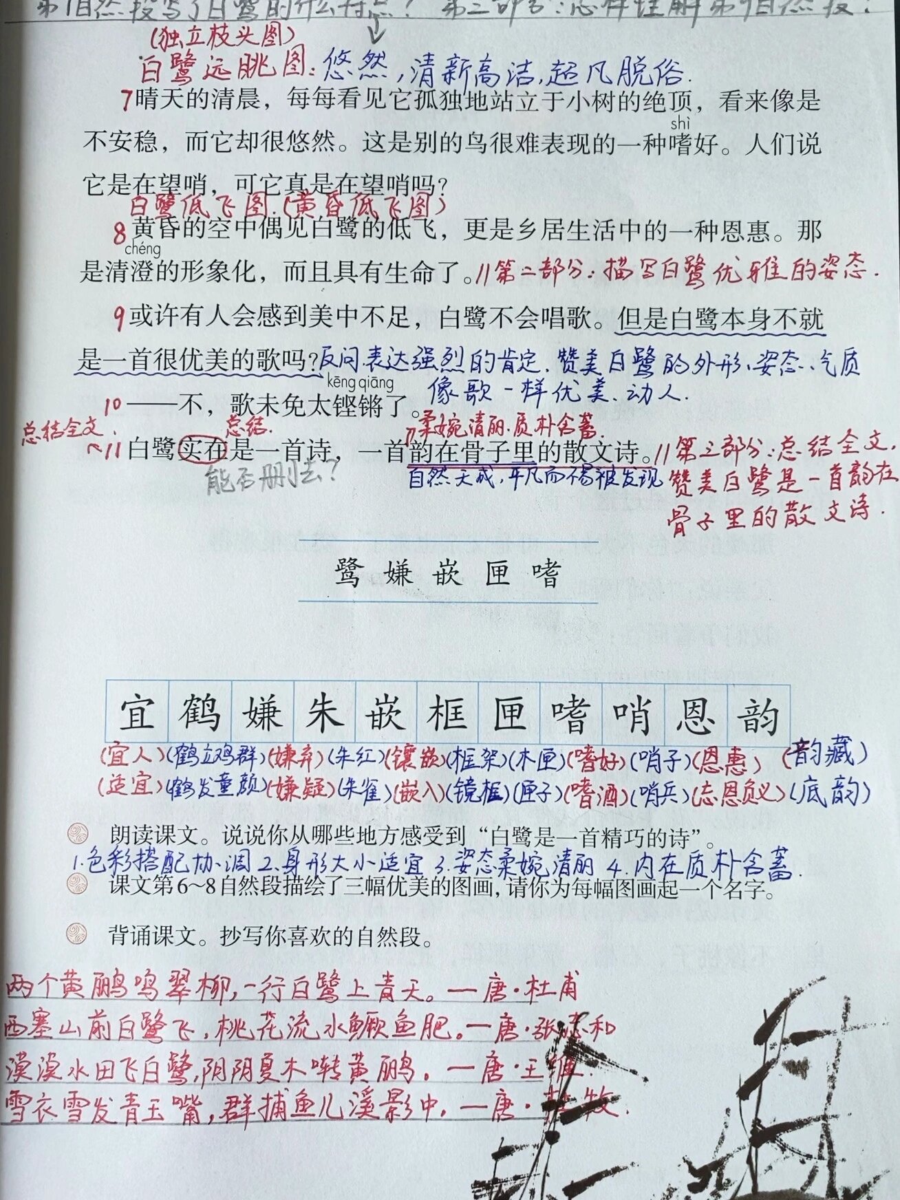 五年级上册第一课《白鹭》