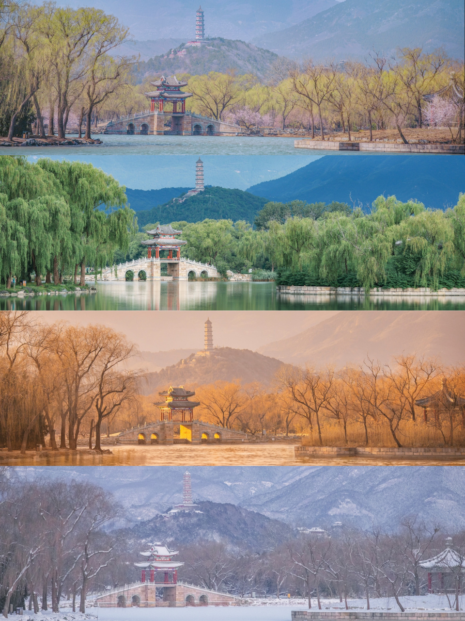 因为平时只有周末有时间去拍照,能不能拍全四季就看北京的天气了