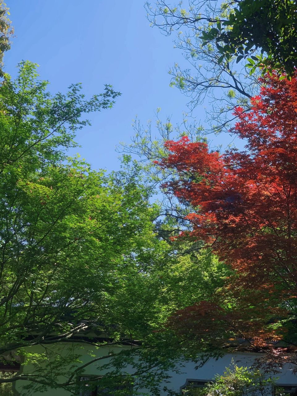 嘉兴天气太好啦!南湖·一大会址