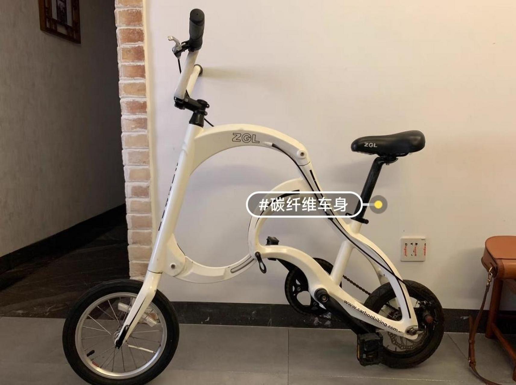 中国龙全碳纤维20寸折叠自行车7.