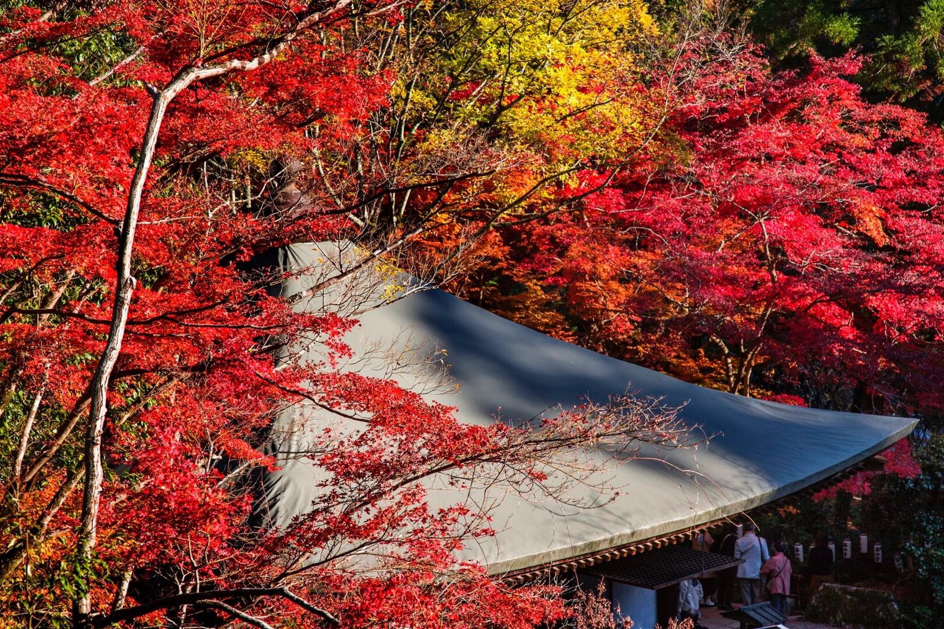 日本 京都 石山寺(千座佛教寺庙之130) 石山寺是一座优美的寺庙建筑