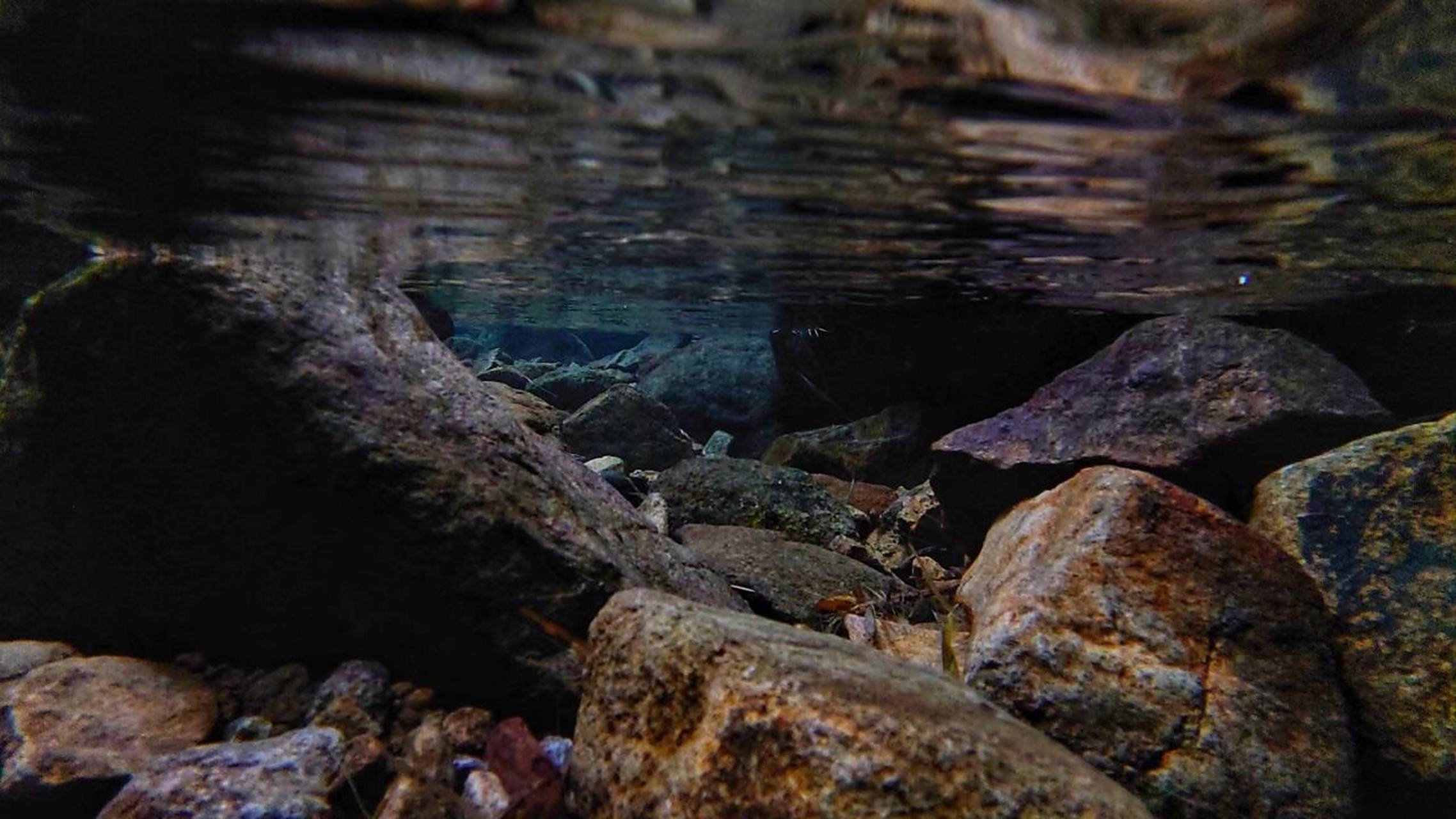 寺 沿着古道走着走着 恍若我就成了宁采臣 扒开杂草 看到兰若寺石碑时