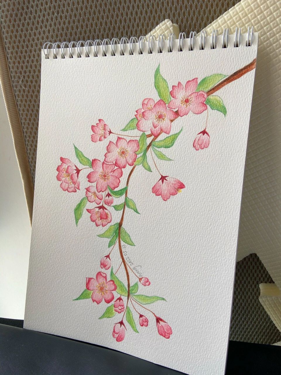 彩铅桃花 最近画花画得有点着迷,水溶性彩铅也可以有些许水彩的感觉