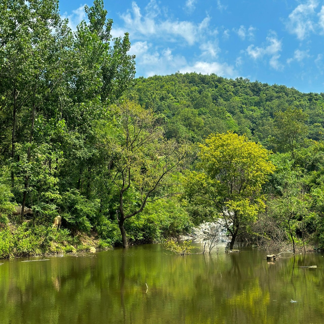 漯河周边「竹沟彩云谷」 是一个非常小的景点,我们去的时候没什么人.