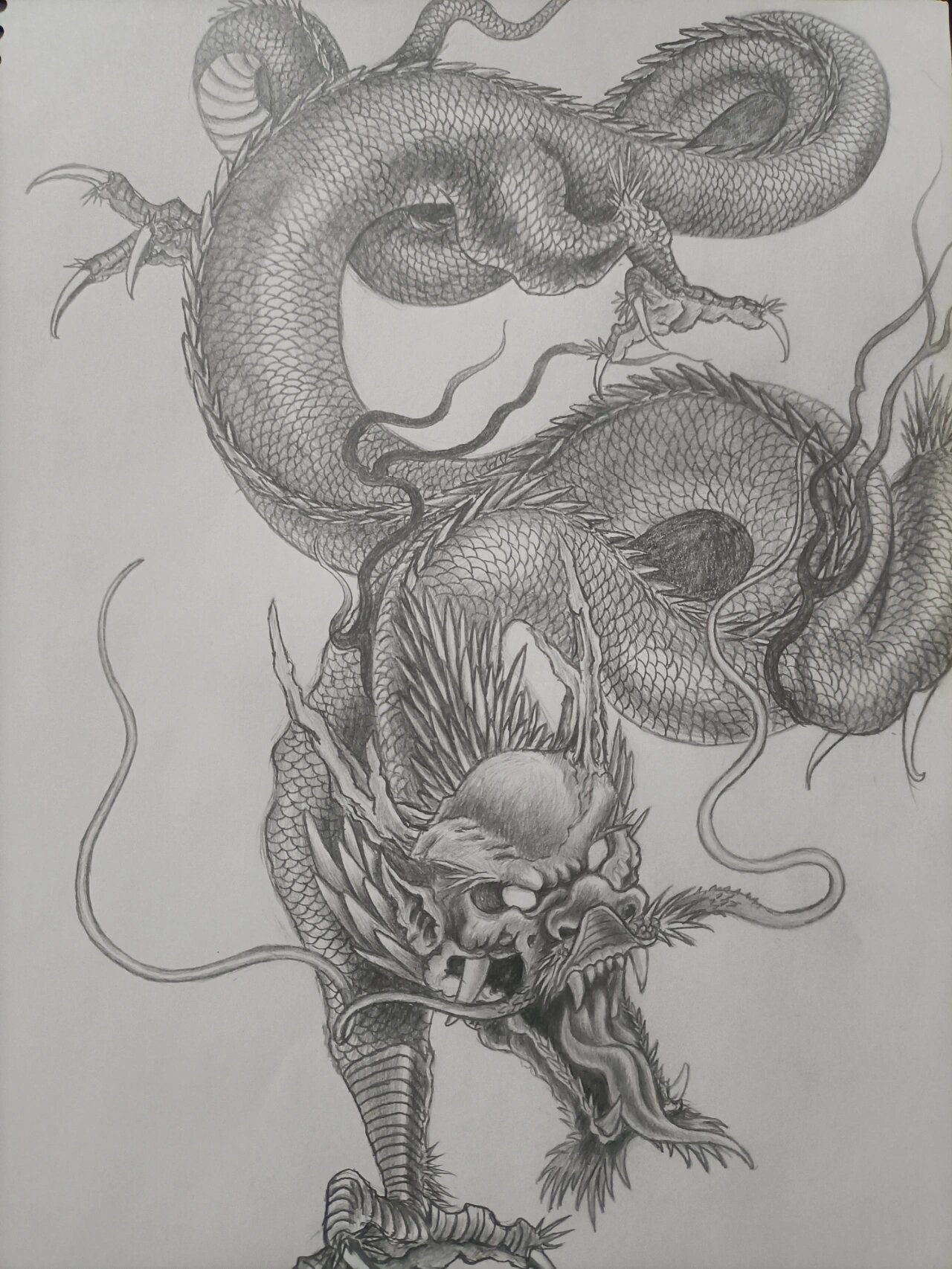 龙素描画龙头图片