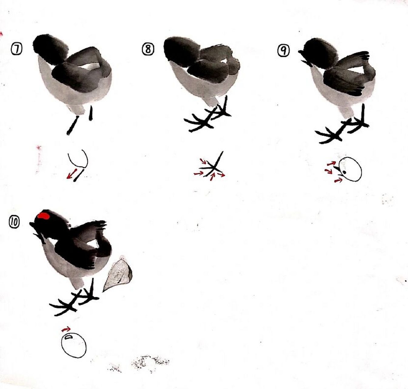 国画《小鸡》画法 小鸡的画法: 1.一笔点出头部.