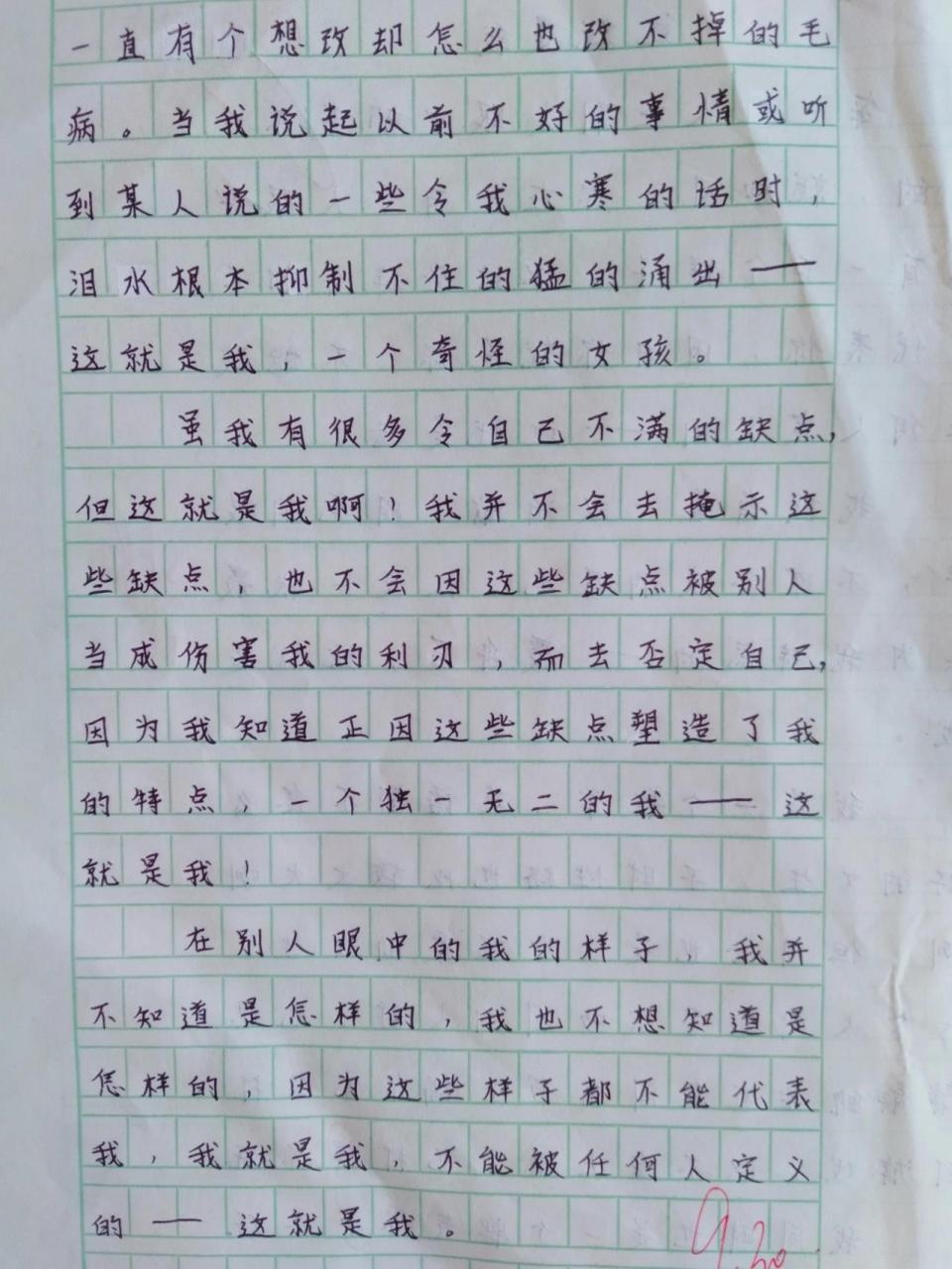 作文《这就是我》 作文《这就是我》可参考ヾ(72●70●)17