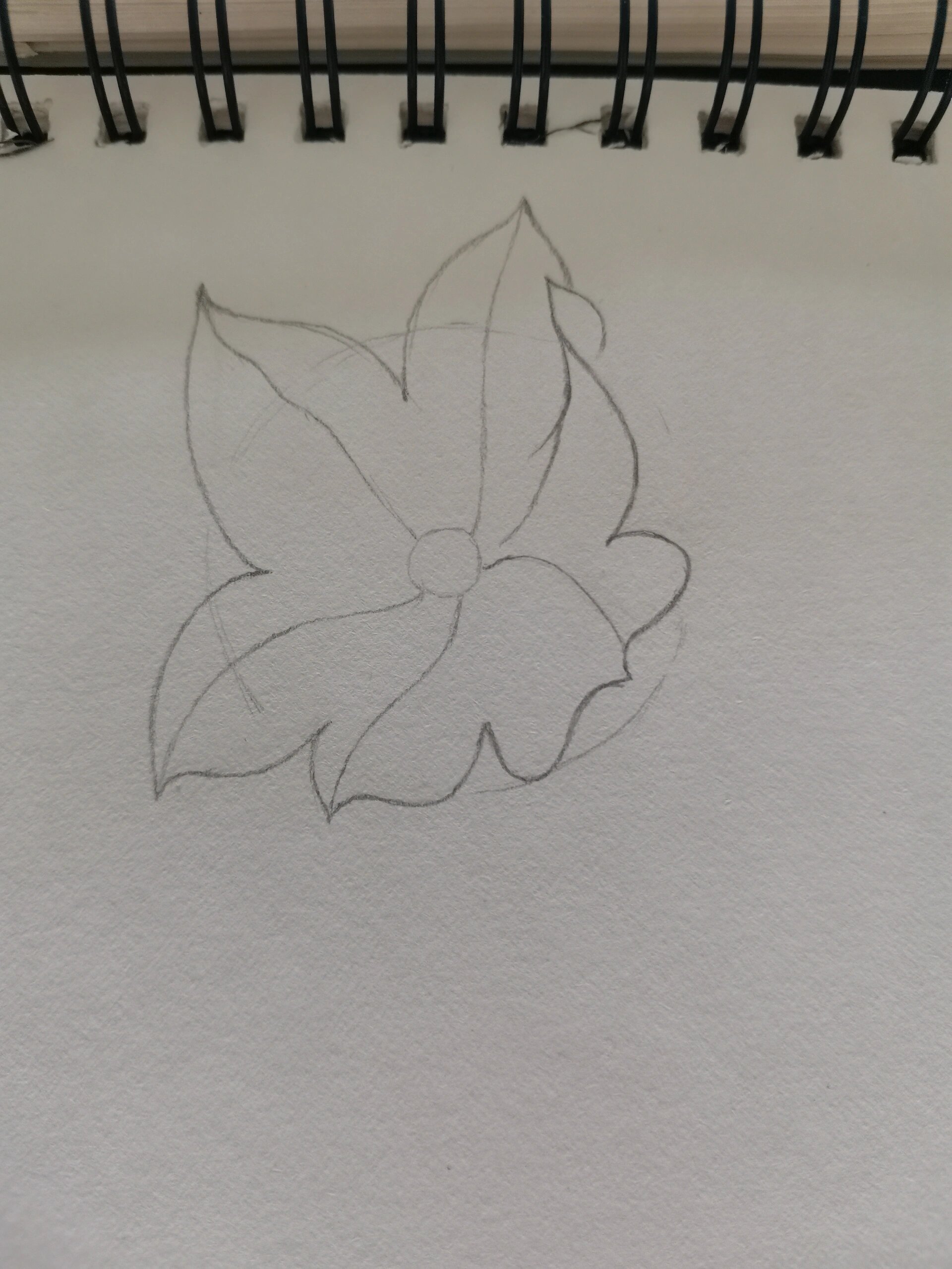 零基础学画画165～桔梗(附步骤