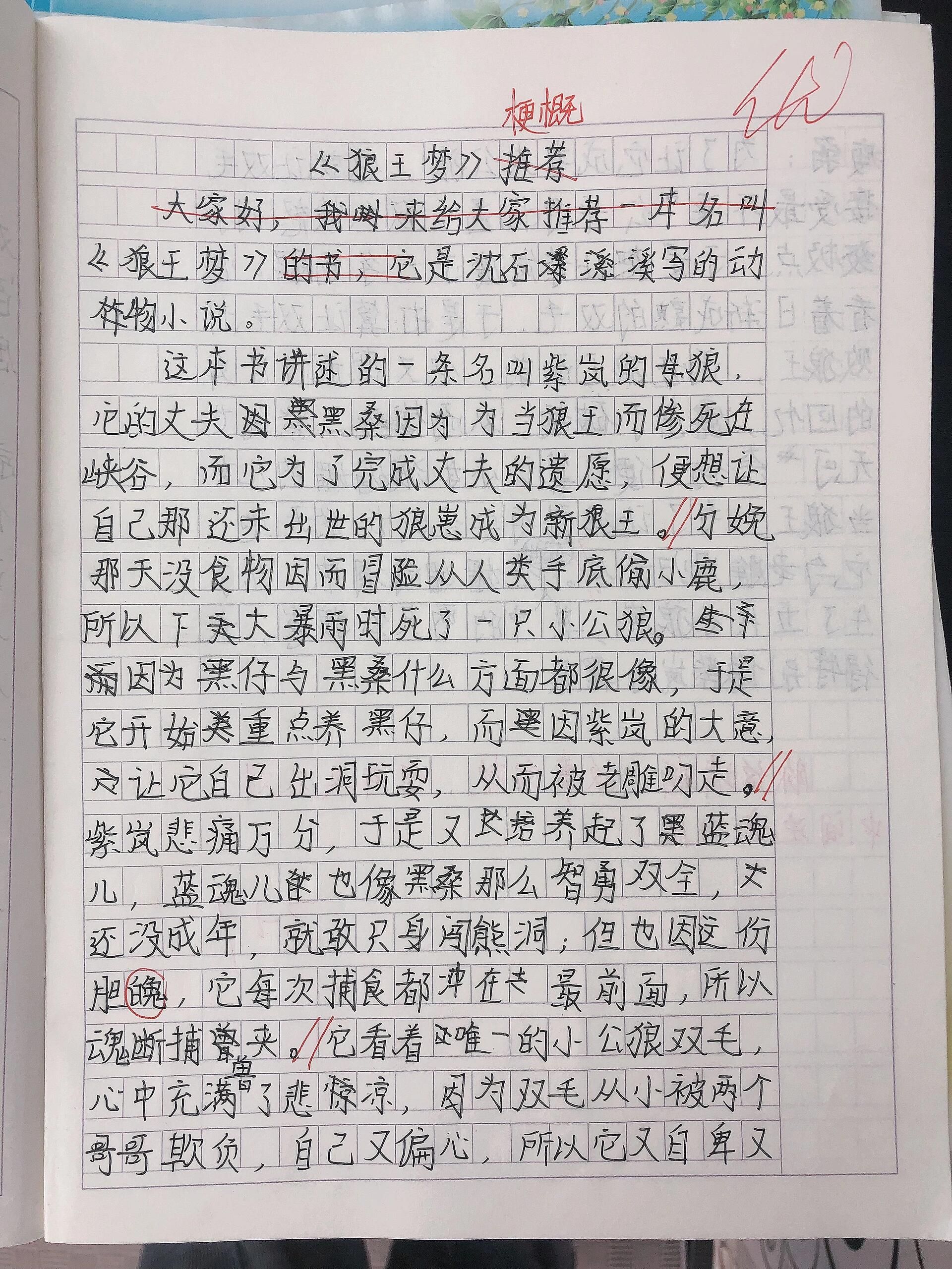 六年级故事梗概图片