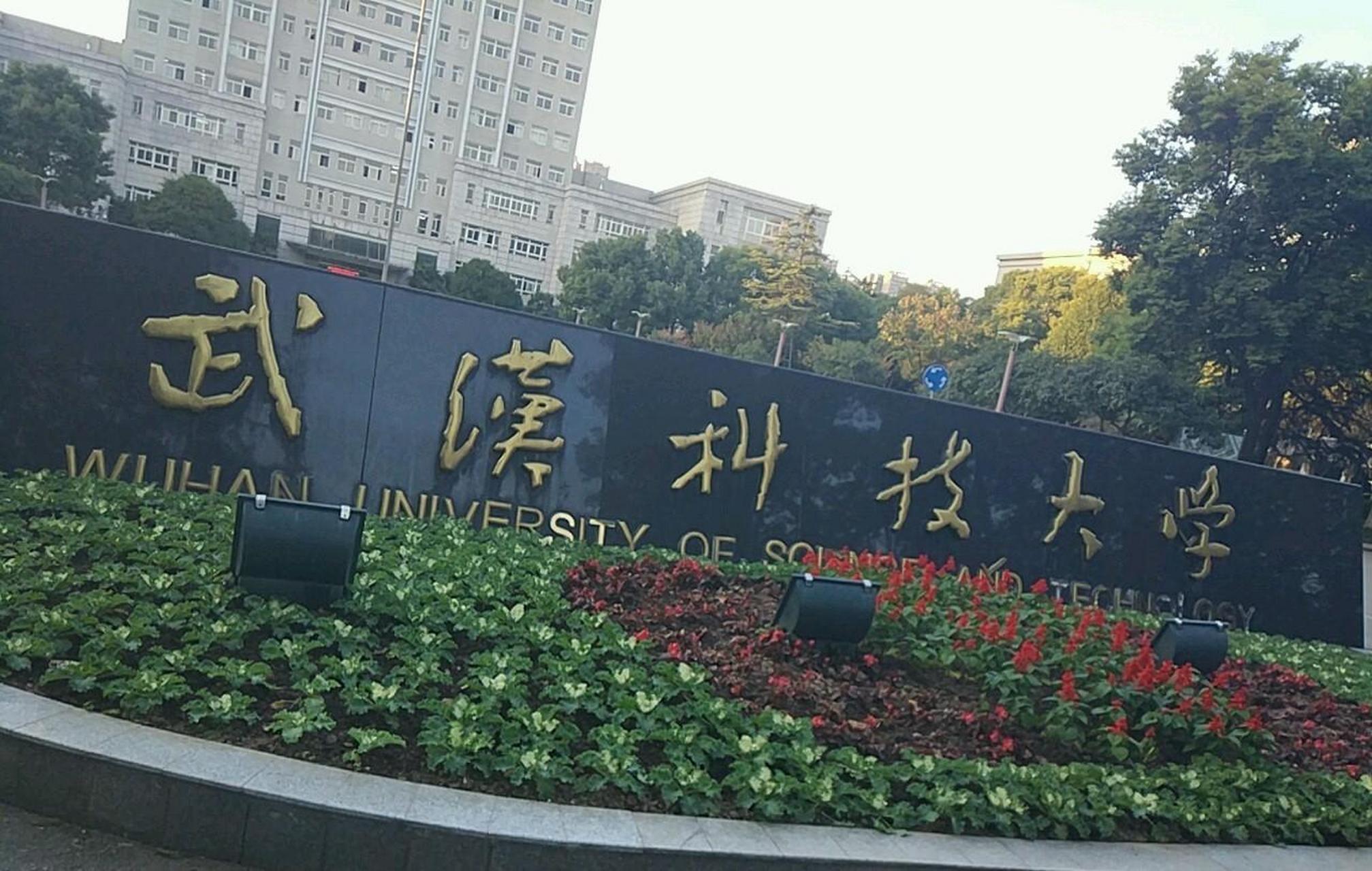 武汉科技大学(青山校区),青山区唯一的大学