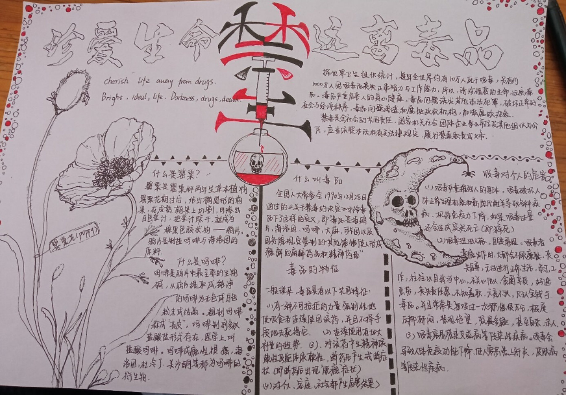 禁毒手抄报787878 骷髅月亮是借鉴花花是借鉴
