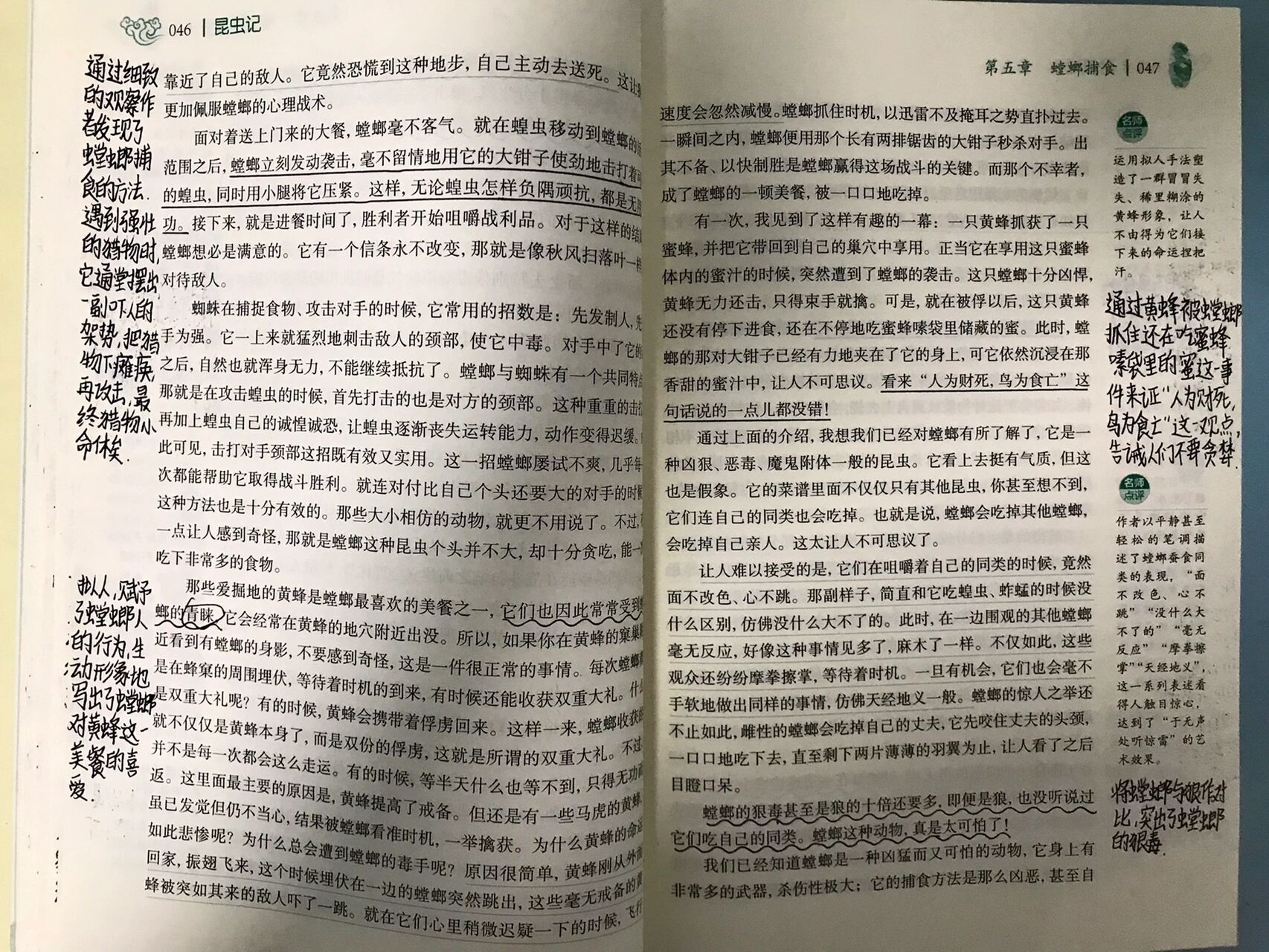 昆虫记第五章《螳螂捕食》批注