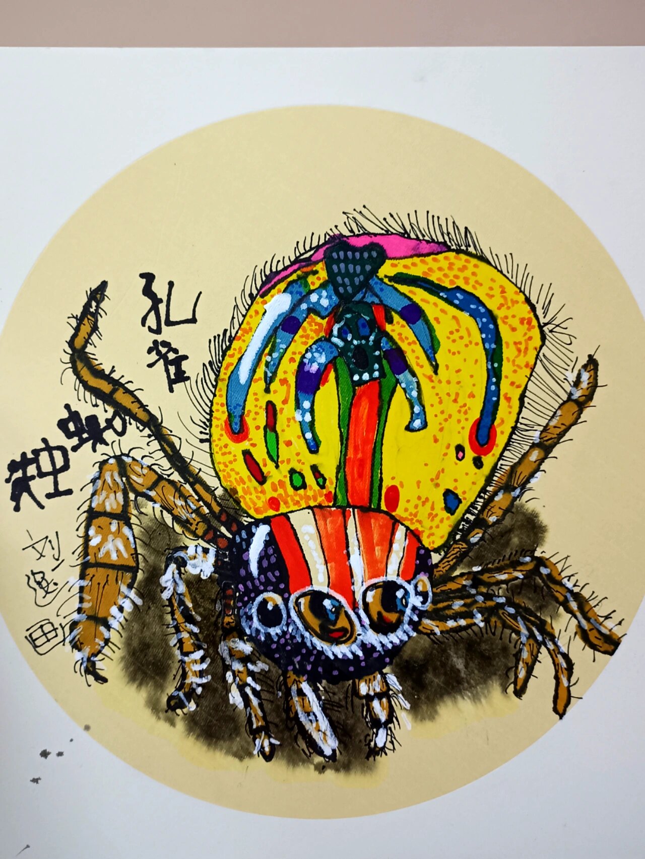 孔雀蜘蛛 儿童画