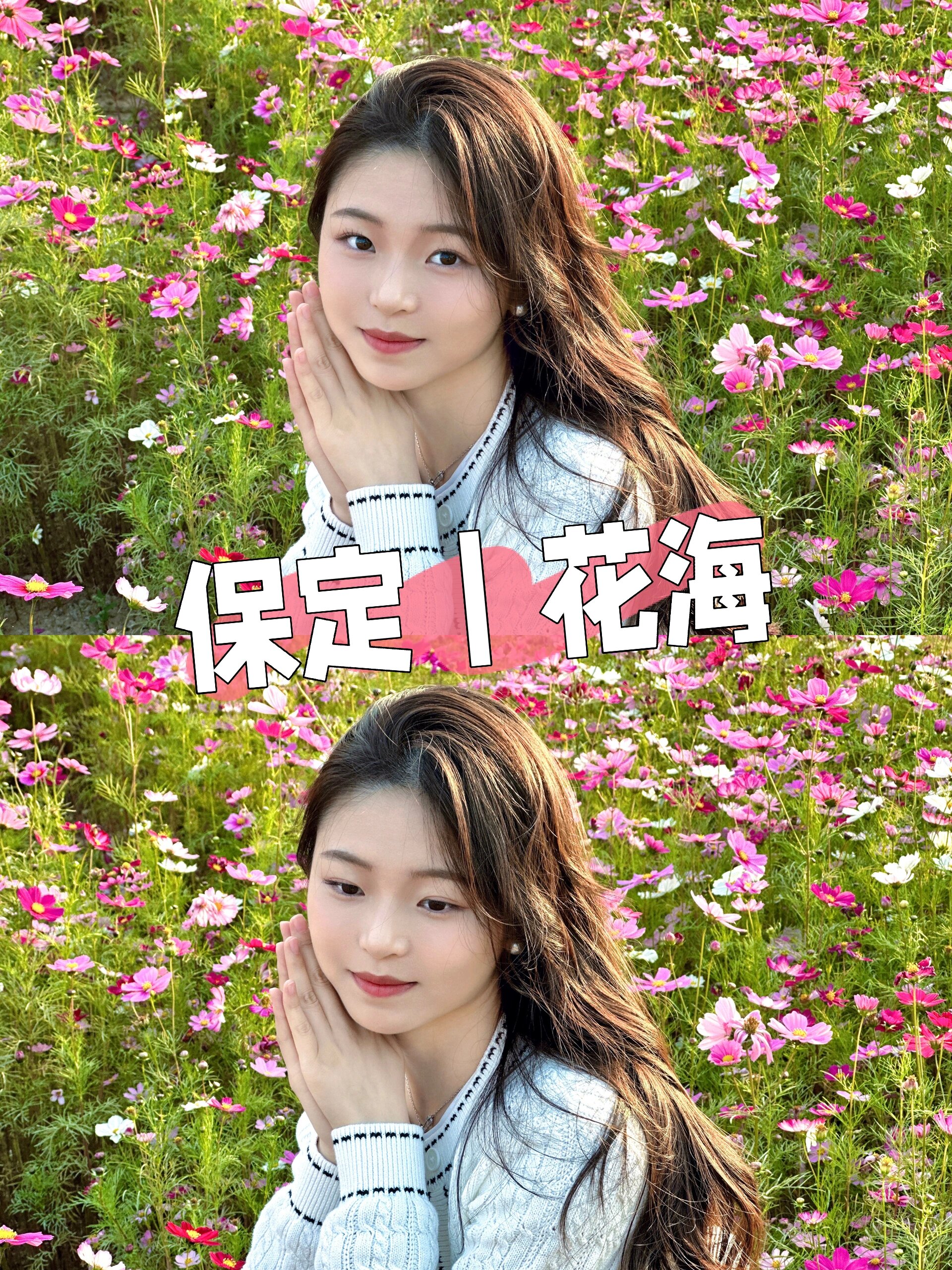 保定|花海拍照太美啦?