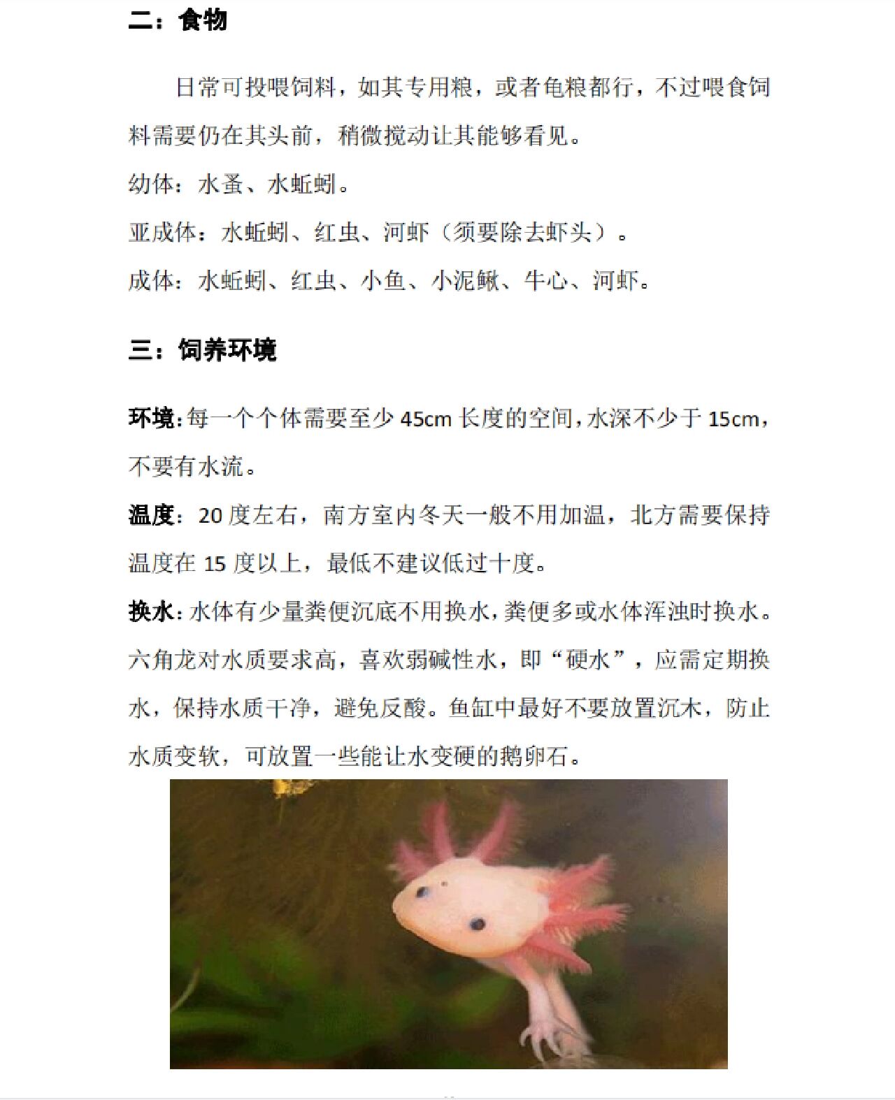 六角龙鱼饲养篇—换水,食物,环境,温度