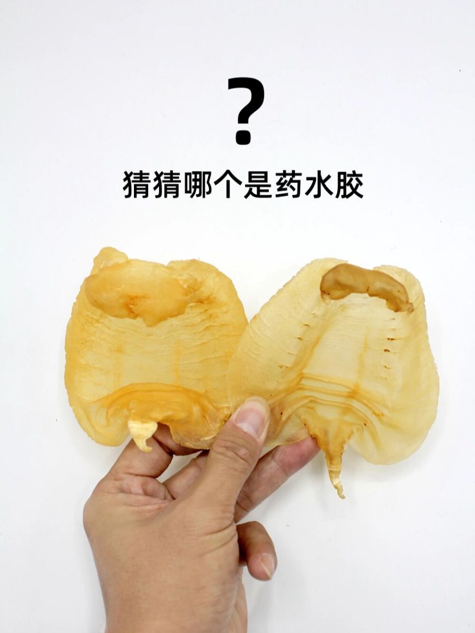 药水胶和清水胶对比 鱼胶教学,这是一只药水洗 染色