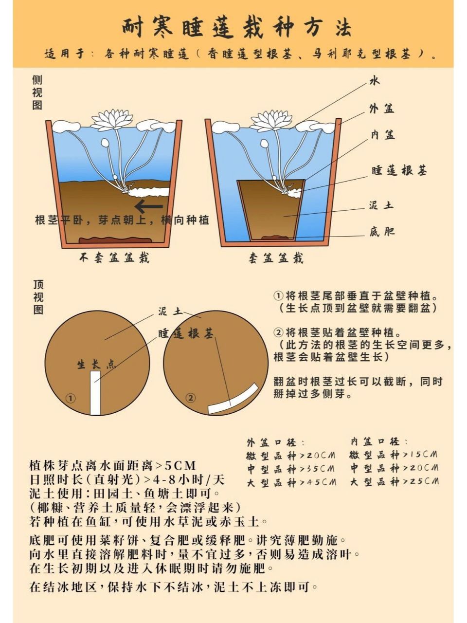 耐寒睡莲种植方法图示 之后还会更新其它的