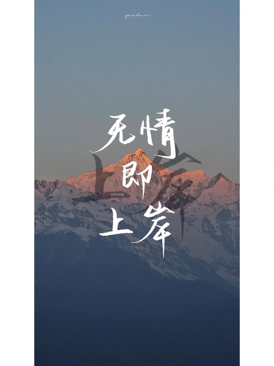 手写|手机壁纸|无情即上岸2.