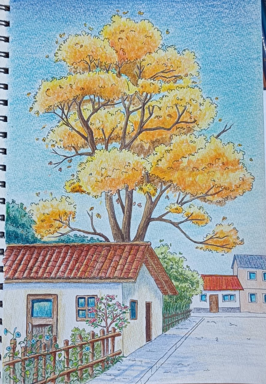 彩铅画 秋天的银杏树,虽然银杏树的叶子还没有黄,可是我已经非常期待