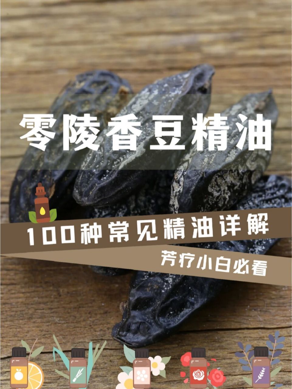 温暖的零陵香豆精油,重温幸福美好时光 73157315零陵香豆是